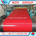 Metal Company galvanized ppgi steel coil